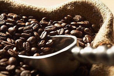 战略RPG《神领编年史》主机版今日发售 支持中文