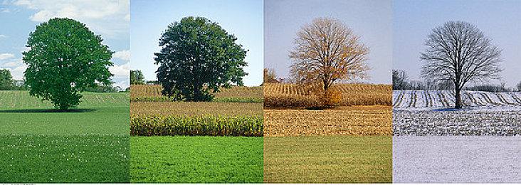 玩家仍期待韩国动作游戏《星刃》 性感师姐谁不爱